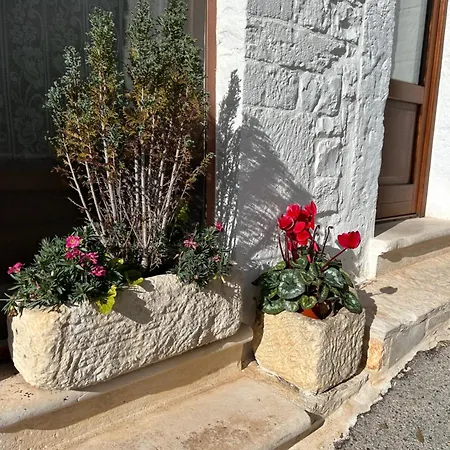 Il Trullo Dei Sogni Apartment Alberobello